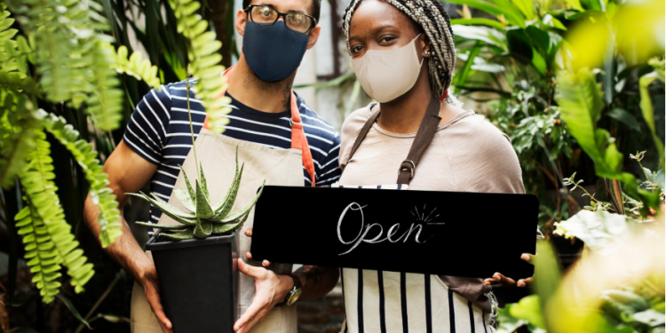 What Does a Hardscaping Company Do? A Complete Homeowner’s Guide