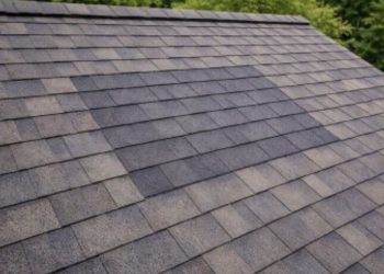 The Essential Homeowner’s Guide to Sustaining a Watertight Structure