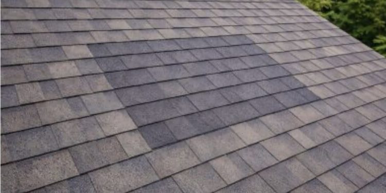 The Essential Homeowner’s Guide to Sustaining a Watertight Structure