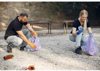 How Rubbish Removals Help Make Property Clean-Ups More Manageable 