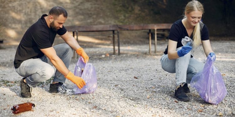 How Rubbish Removals Help Make Property Clean-Ups More Manageable