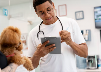 Vets Near Me: 8 Questions to Ask Before Booking an Appointment