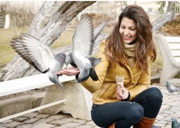 Why You Need Professional Pigeon Proofing Services in WA
