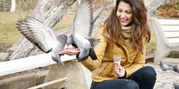 Why You Need Professional Pigeon Proofing Services in WA