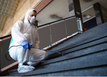 How Pest Activity Can Affect the Condition of Residential Air Ducts