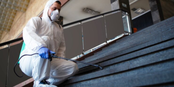 How Pest Activity Can Affect the Condition of Residential Air Ducts
