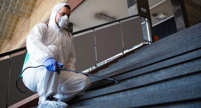 How Pest Activity Can Affect the Condition of Residential Air Ducts